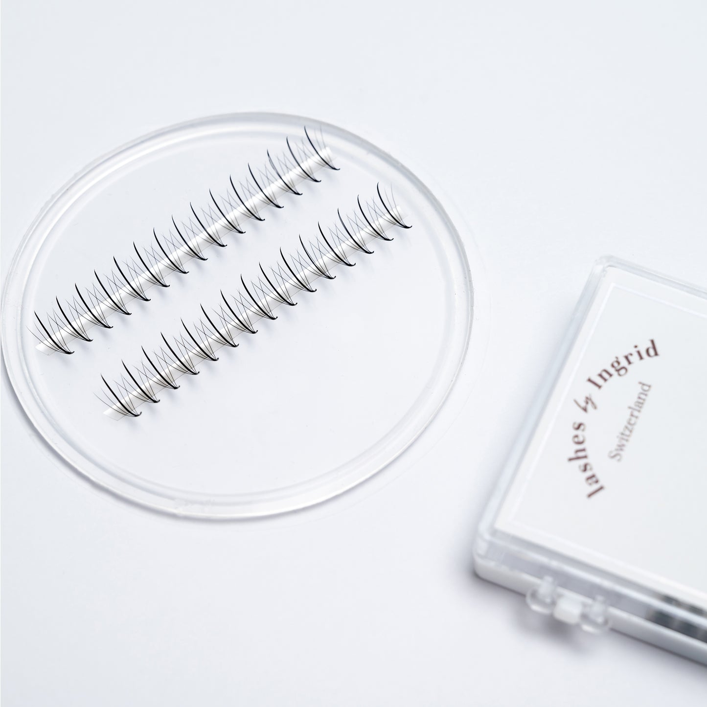Rapid Promade Fans – Wispy Fans – 5D – (500 Fans)