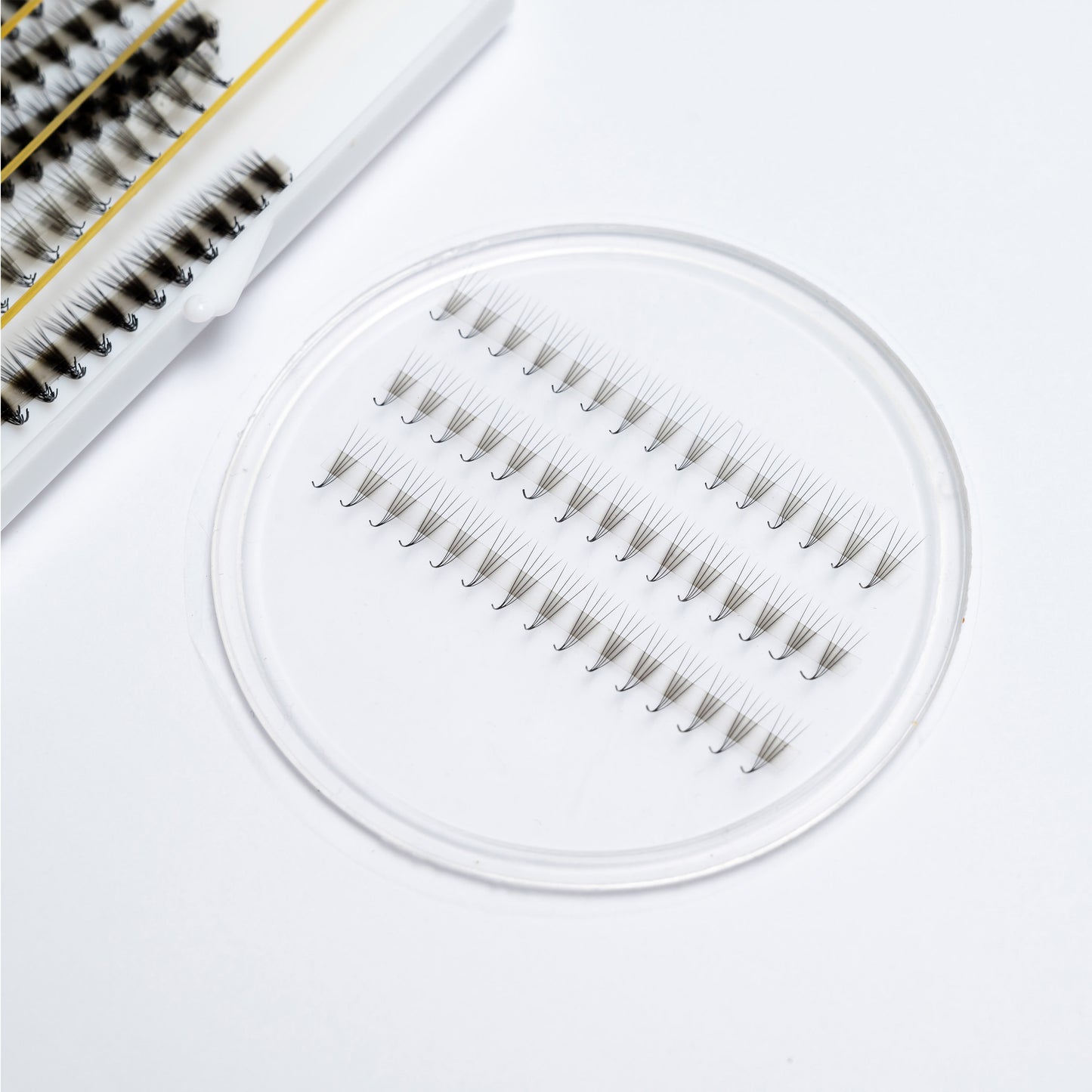 Rapid Promade Fans – Fans Curvature M – 4D – (500 Fans)
