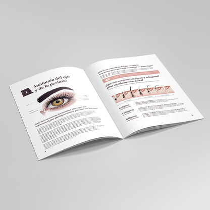 lash extensions kurs 2 Techniken 